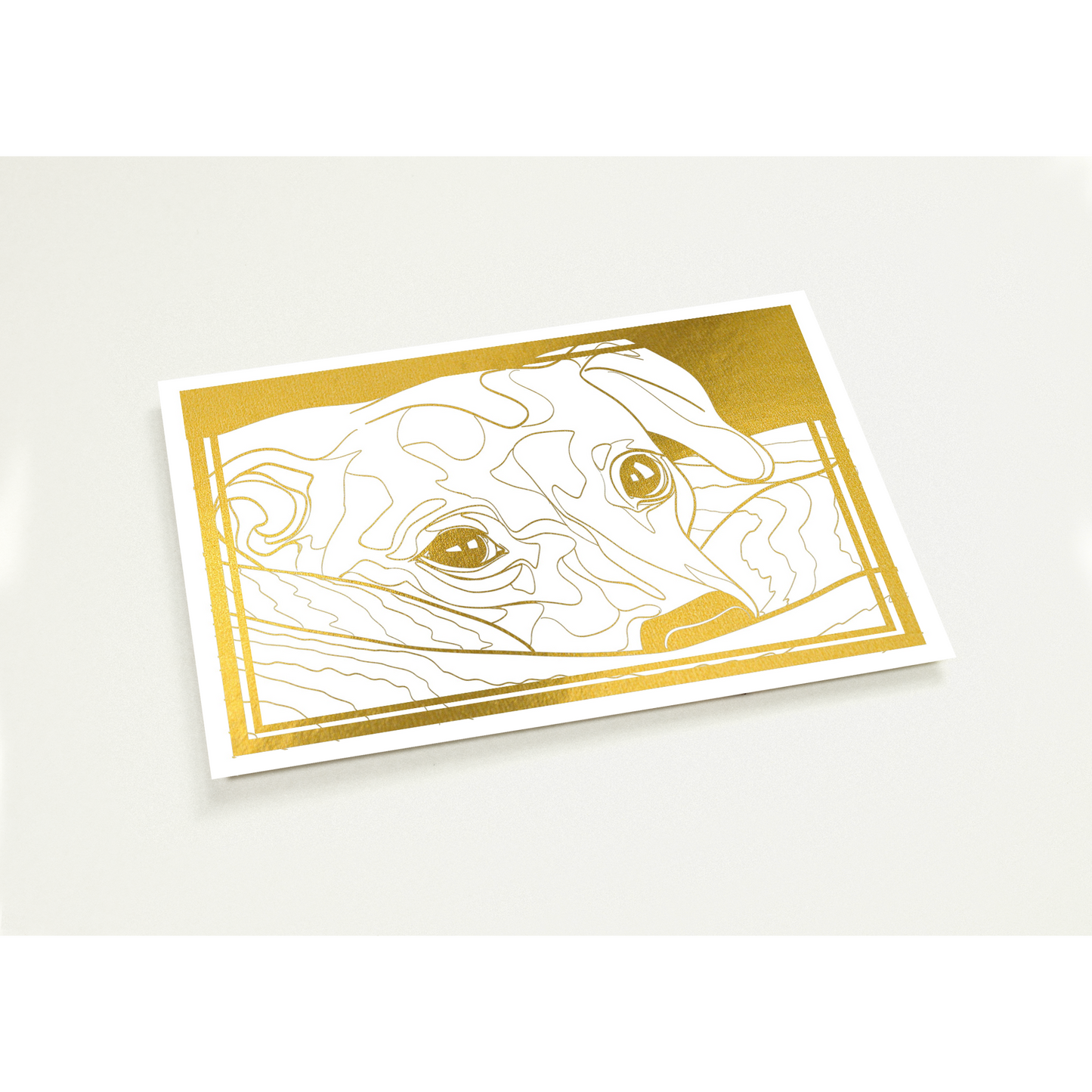 244d4dbb-bf6b-4464-81ba-a49714ebab07