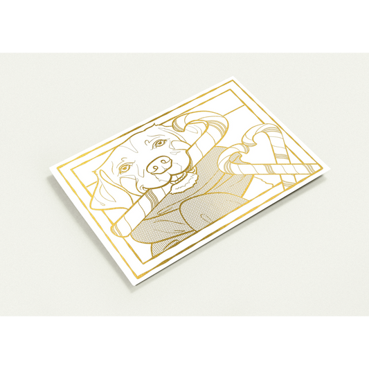 6de62f28-b34b-45e1-9152-528700207c15