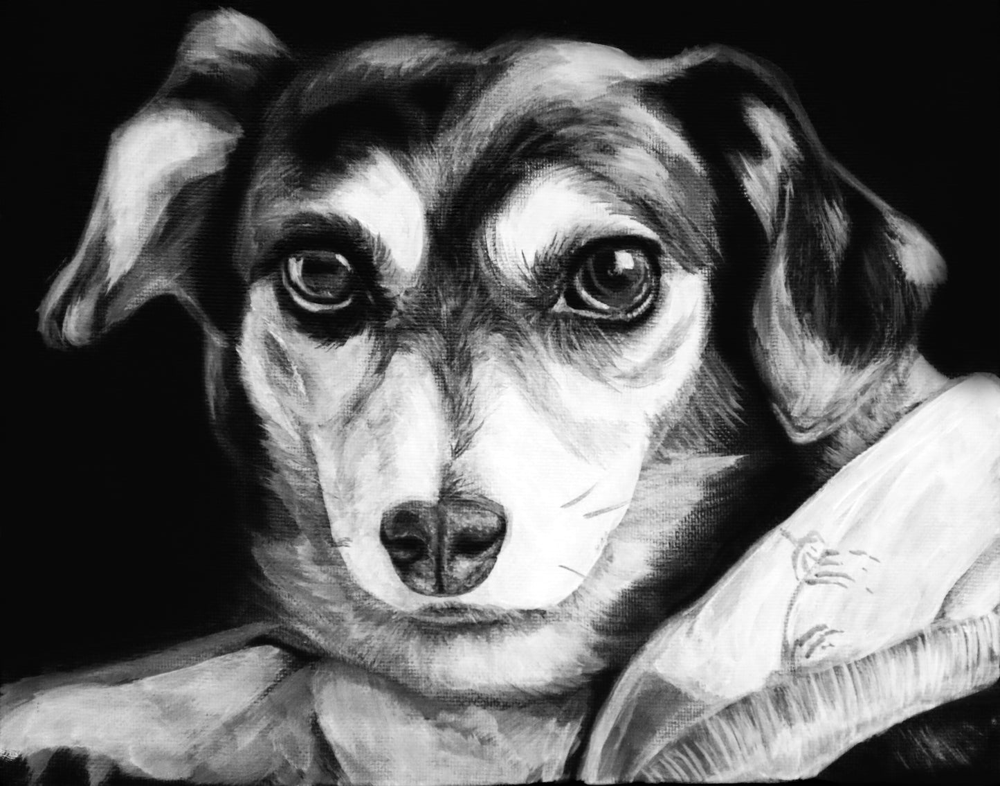 Custom Acrylic Pet Portrait On Black Canvas