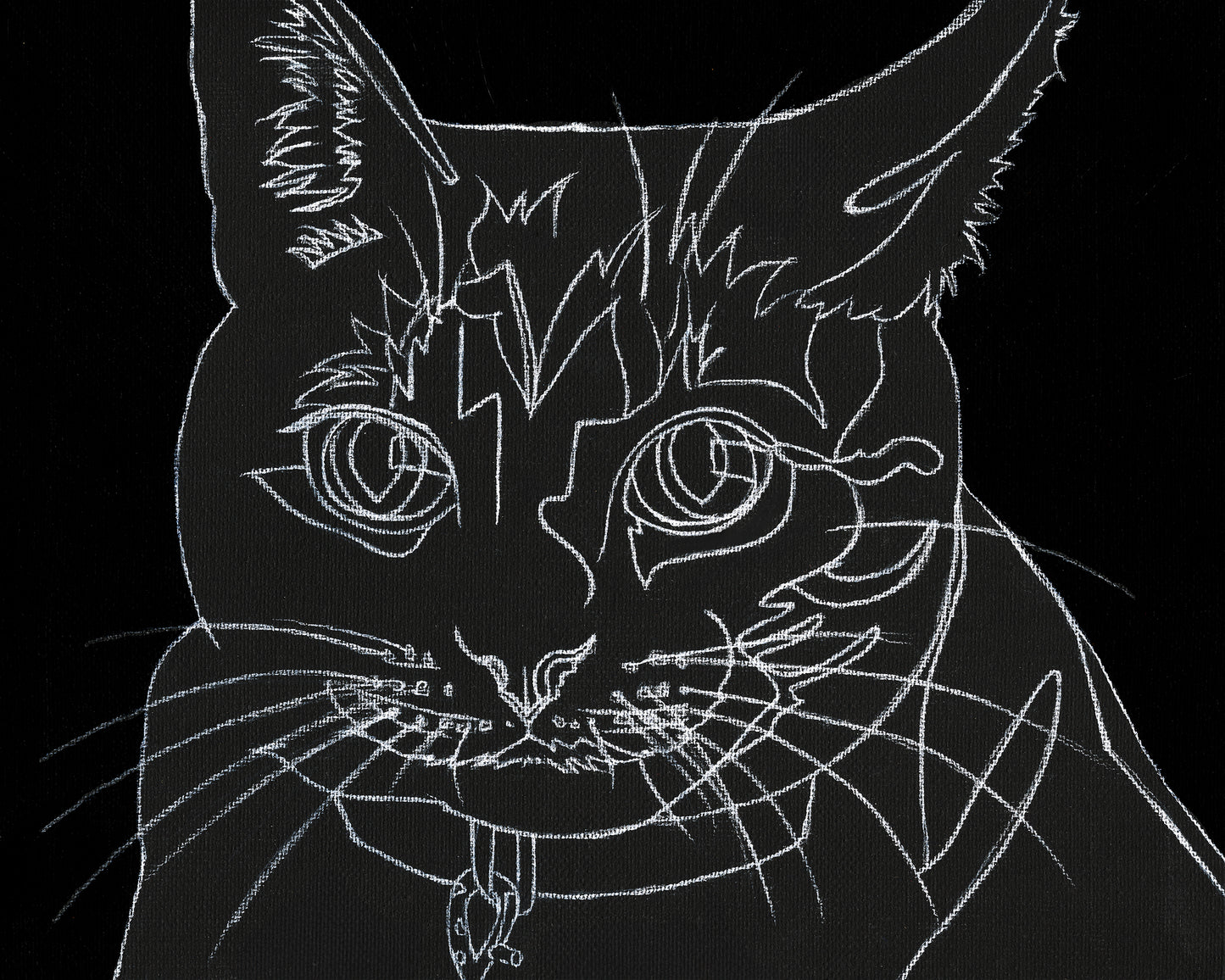 Custom White Charcoal Line Art Pet Portrait on Black Canvas