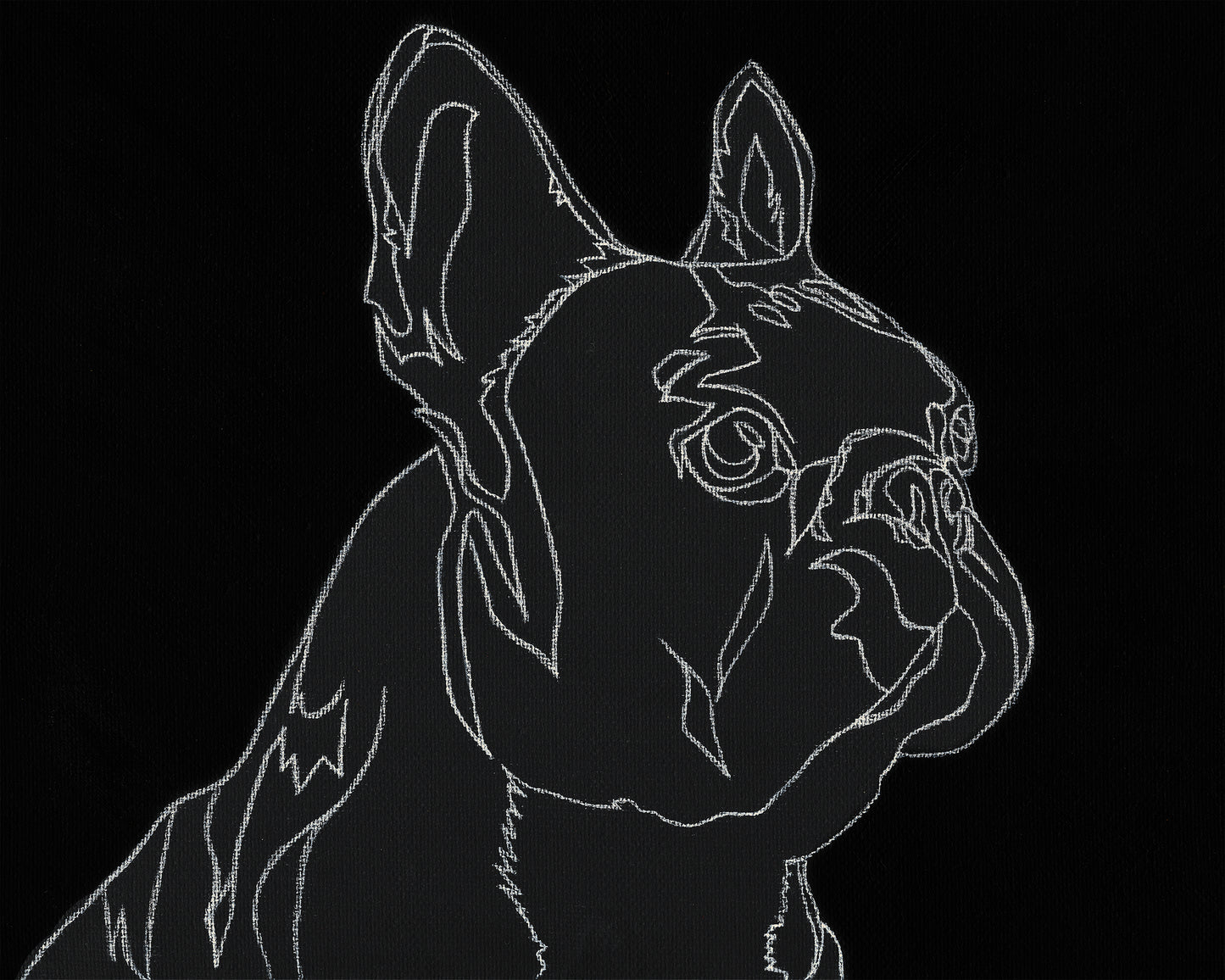Custom White Charcoal Line Art Pet Portrait on Black Canvas