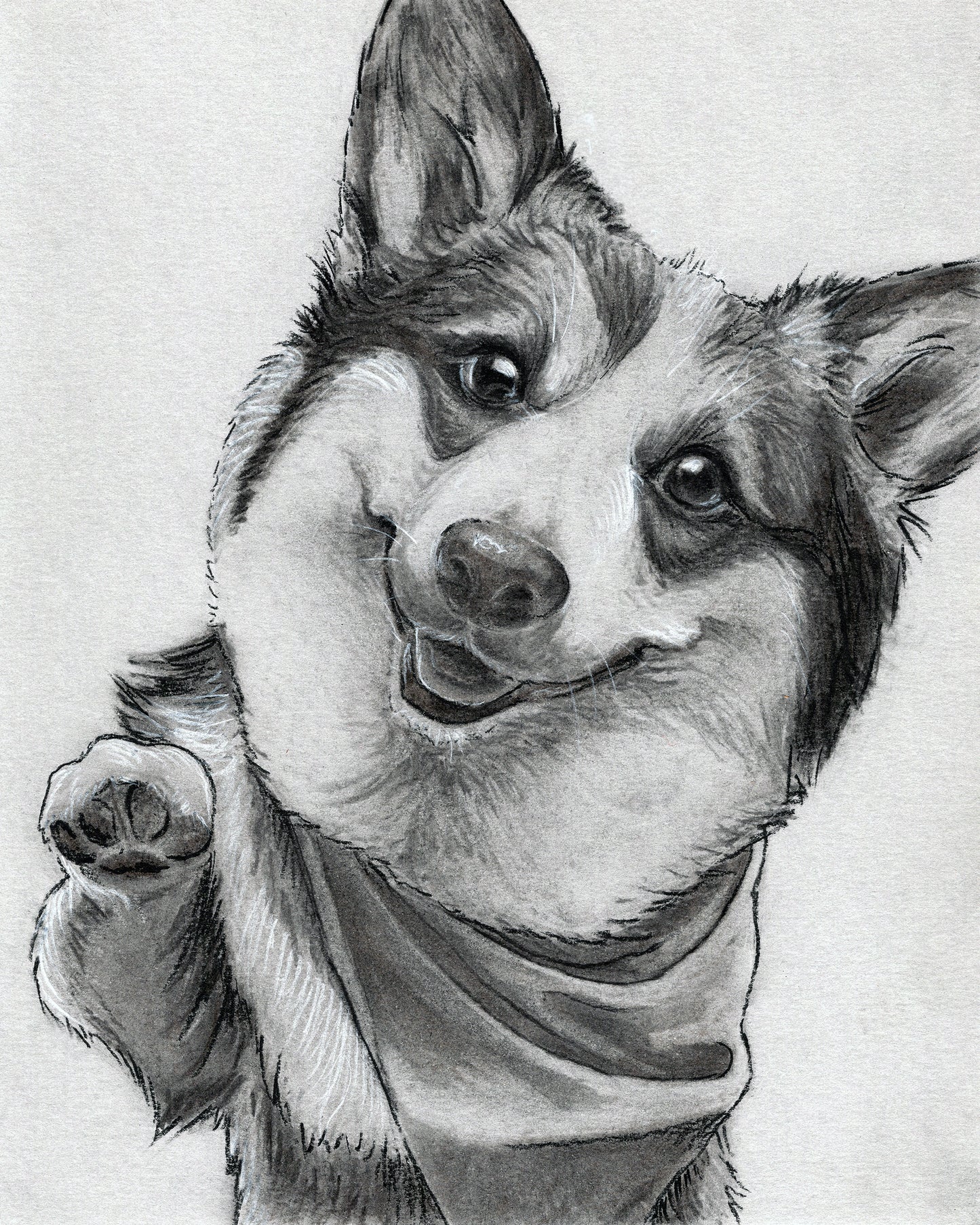 Custom Charcoal Pet Portrait on Gray Paper