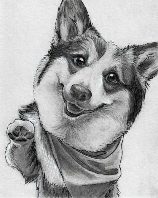 Custom Charcoal Pet Portrait on Gray Paper