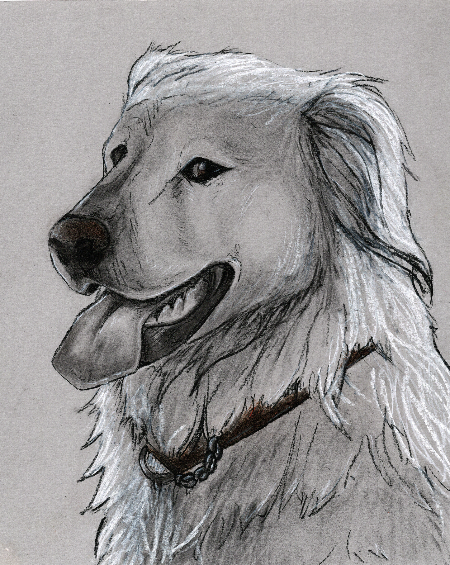 Custom Charcoal Pet Portrait on Gray Paper