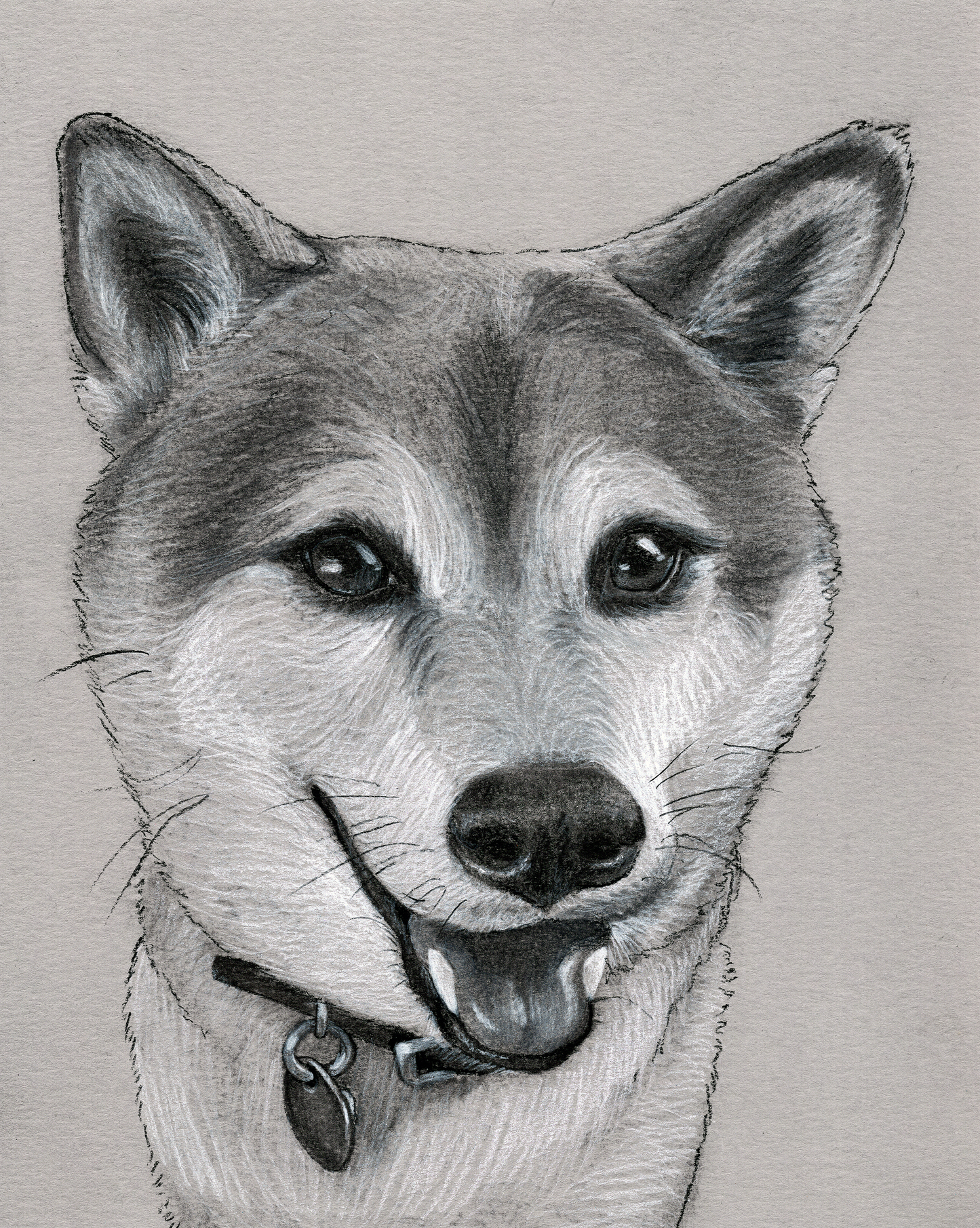 Custom Charcoal Pet Portrait on Gray Paper