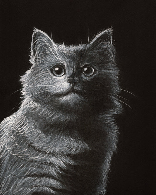 Custom White Charcoal Pet Portrait on Black Paper